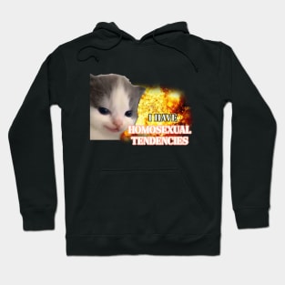 i have homosexual tendencies Hoodie